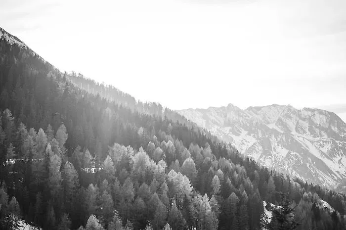 Alouette Apartment Samnaun